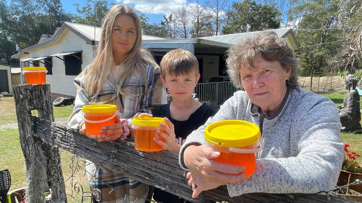 Natalie Huxley, her son Ari and mother-in-law Dianne Nolan (also on our cover) are concerned about their beekeeping future. Picture by Samantha Townsend