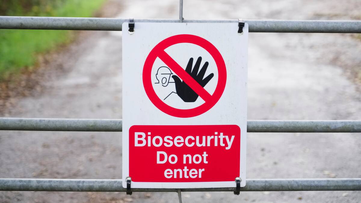 Biosecurity, trade, ag productivity in spotlight with cuts to DAFF funds.