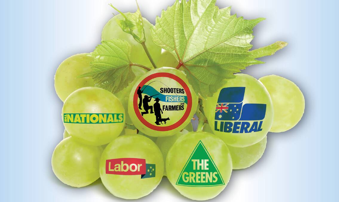 WHAT A GRAPE BUNCH: This March election the voters will have to pick the best of the bunch but are any of them to the bush's taste?