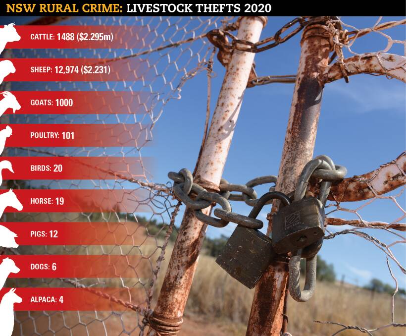 According to the NSW Police Rural Crime Prevention Team, there has been 111,000 head of sheep and cattle reported stolen since 2015, costing producers $22.5 million. Graphic: Josh Hall