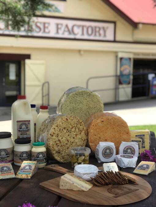 Some of the delicious items available from Real Tilba Dairy.