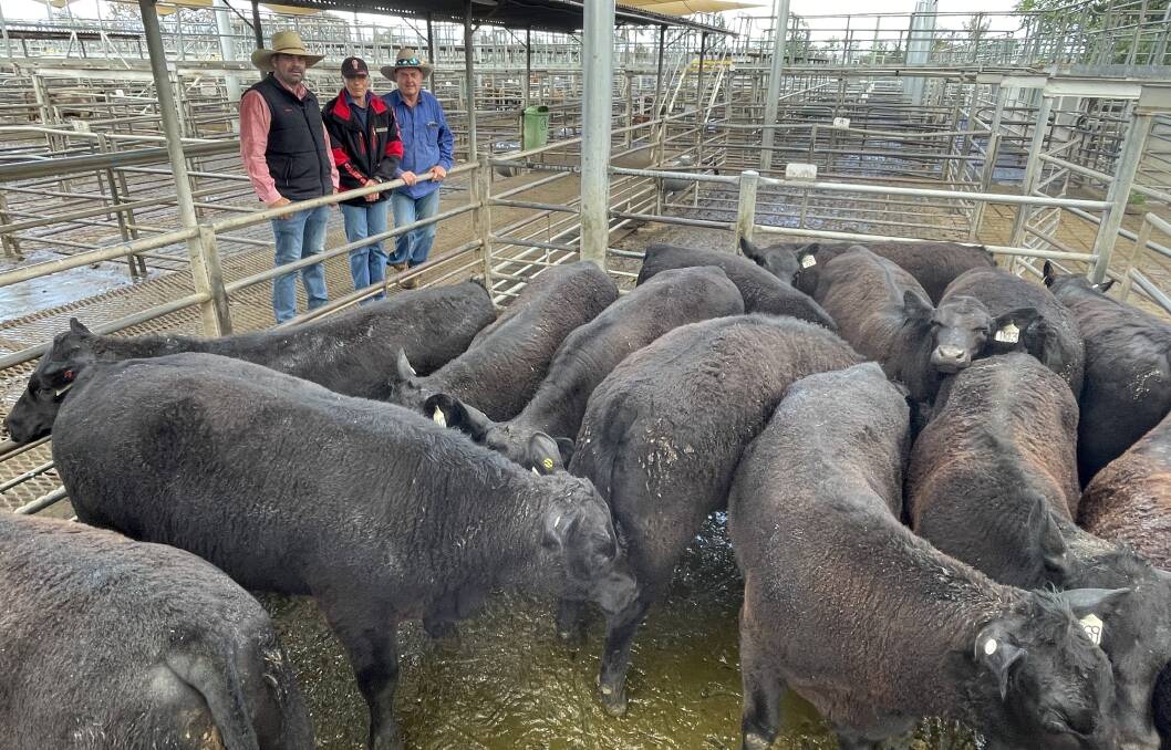 Martin Simmons, Elders, with vendor Sally McGlashan and Rob Matthews, Dubbo, who sold a line of eight- to 10-month-old Angus steers for $2240/head. Photo: Rebecca Cooper