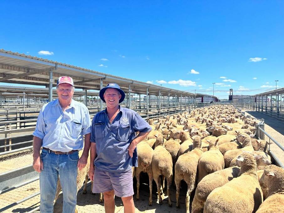 Peter McDonald, Young, pictured with carrier Darren Godsell, DFG Transport, also of Young, bought 320 June/July '20 drop, November-shorn, first-cross ewes scanned-in-lamb to Poll Dorset rams to a top of $500 a head. The ewes were offered by Robert and Sherrie Clemson, Lilydale, Burcher, and purchased on behalf of a producer at Young.