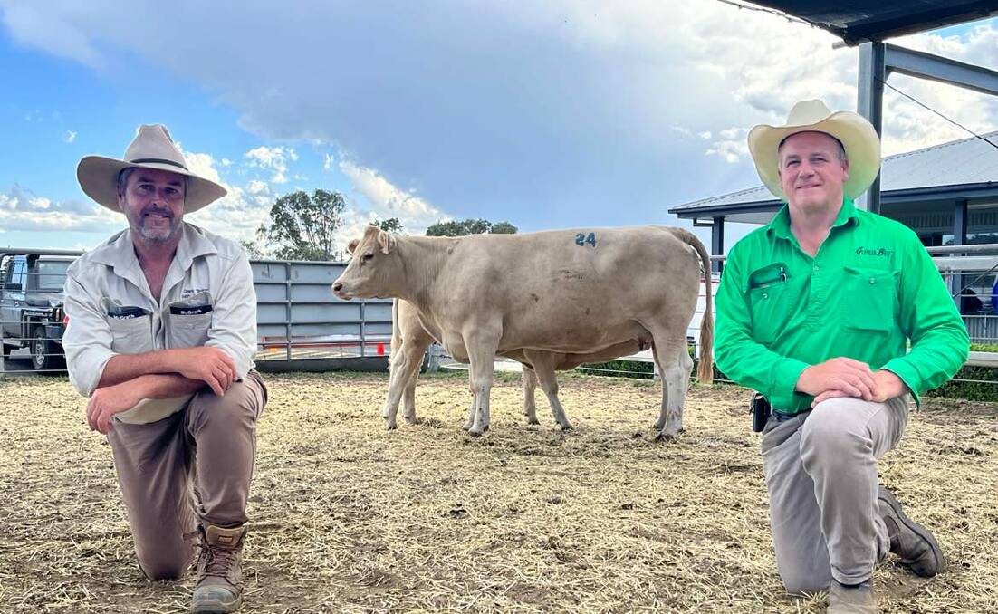 Vendor Roderick Binny (right), Glenlea Beef, with the $15,000 Glenlea Isabella 1st and her 7-month-old heifer calf at foot, Glenlea Isabella 31st P (R/F), and Grant Taylor, Taylor Livestock, Nowra, who purchased the top-priced heifer, Glenlea My Girl 12th. 
