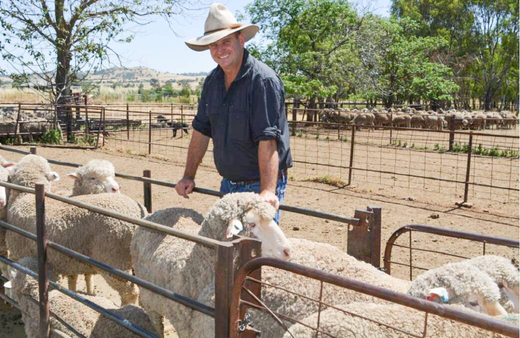 Nutrien Ag Solutions stud stock specialist and auctioneer Rick Power, Grenfell, has maintained the early mentoring from his grandfather on the family farm at Dalgety. Photo: Supplied