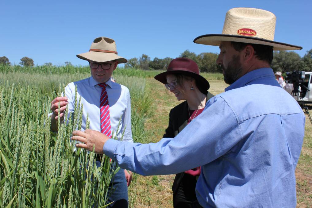Minister of Agriculture Adam Marshall, with Member for Cootamundra Steph Cooke and NSW Department of Primary Industries researcher, Matthew Newell, at the NSW DPI Cowra Agricultural Research and Advisory Station last Tuesday. 