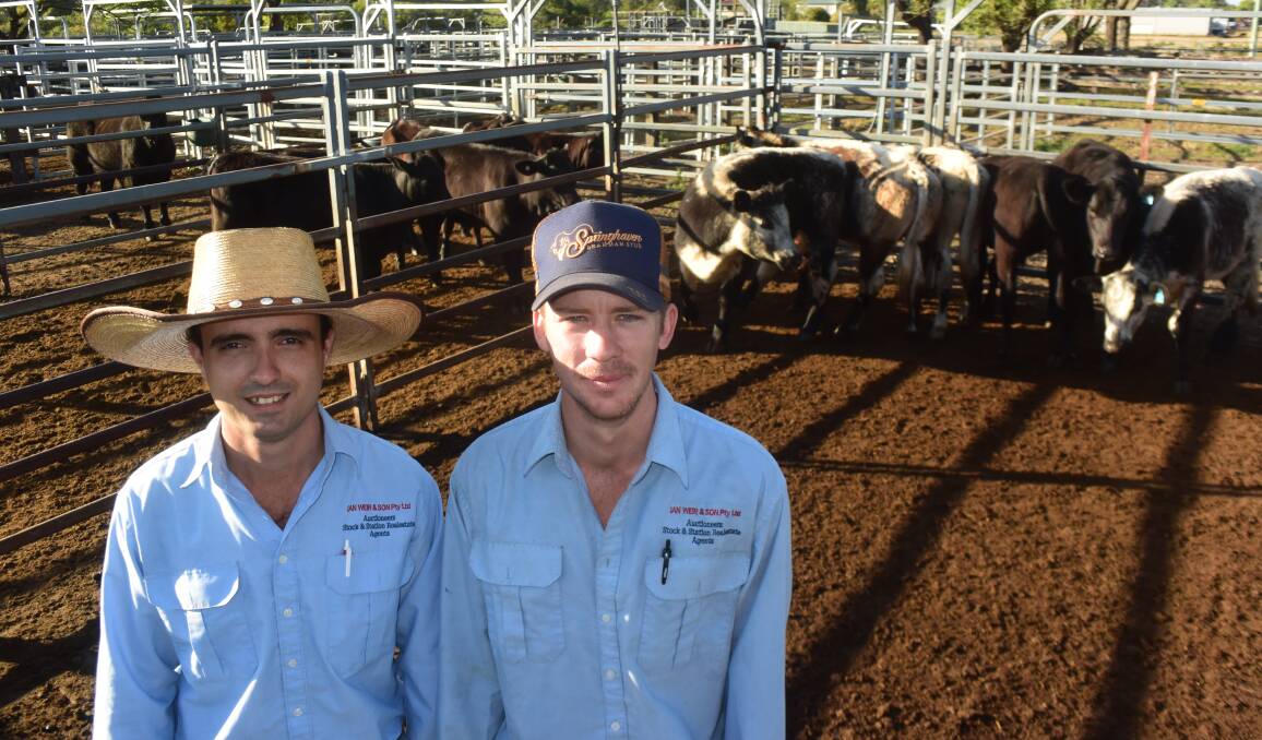 Ian Weir and Son agents Mitch Dundas and Luke Allen, Lismore, with a line of North Star Pastoral Speckle Park vealers which sold for 790c/kg at Lismore on Tuesday.