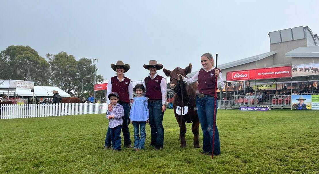 The Powe family's Goondoola Alana S09 took top honours in the Red Angus ring on Saturday morning, with Nicole Skipper, Cargo, and her children Jack, 4, and Emily, 6, Hannah Powe, Cargo, and Trinity Martin, Stettler, Alberta, Canada.
