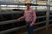 COVID's NSW cattle market crunch