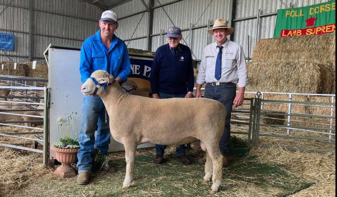 Marshall and Max Douglas, Abelene Park Poll Dorset stud, Piallamore, with Daniel McCulloch, McCulloch Agencies, Tamworth, and the $7400 top Poll Dorset stud ram. 
