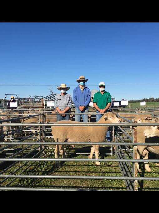 Agent Jamie Stuart, Milling Stuart, Dunedoo, with Ed Blackburn, Wongaboori Station, Mendooran, who purchased the top selling lot 4 at $5400 on behalf of Paul McGirr, and vendor Duncan O'Leary. 