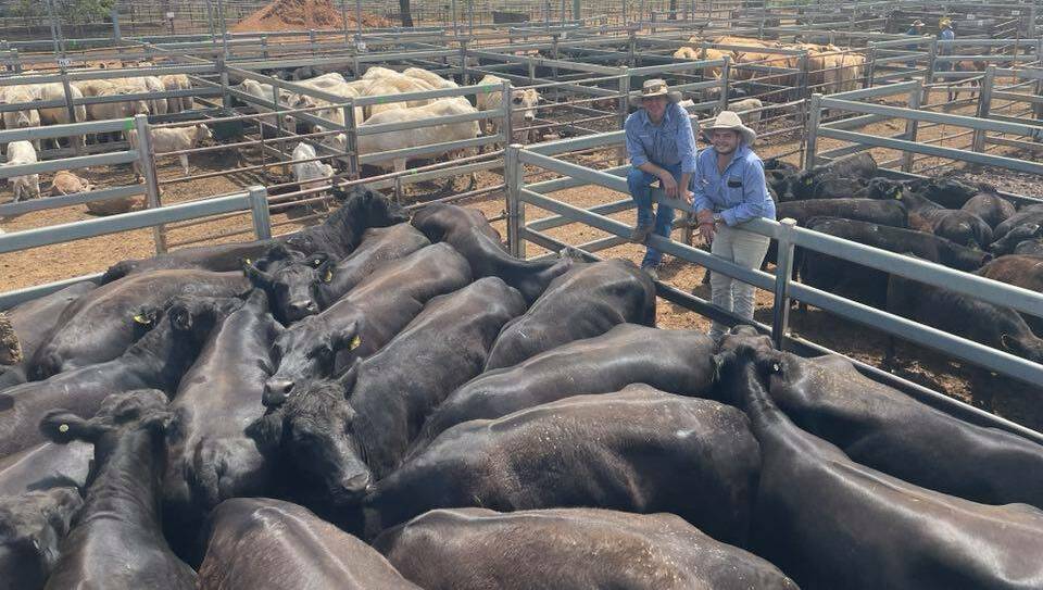 Jamie Stuart, Milling Stuart, and Ben Knight, PT Lord, Dakin and Associates, with Angus cows with calves that sold for $4020 a unit at Dunedoo last Friday.