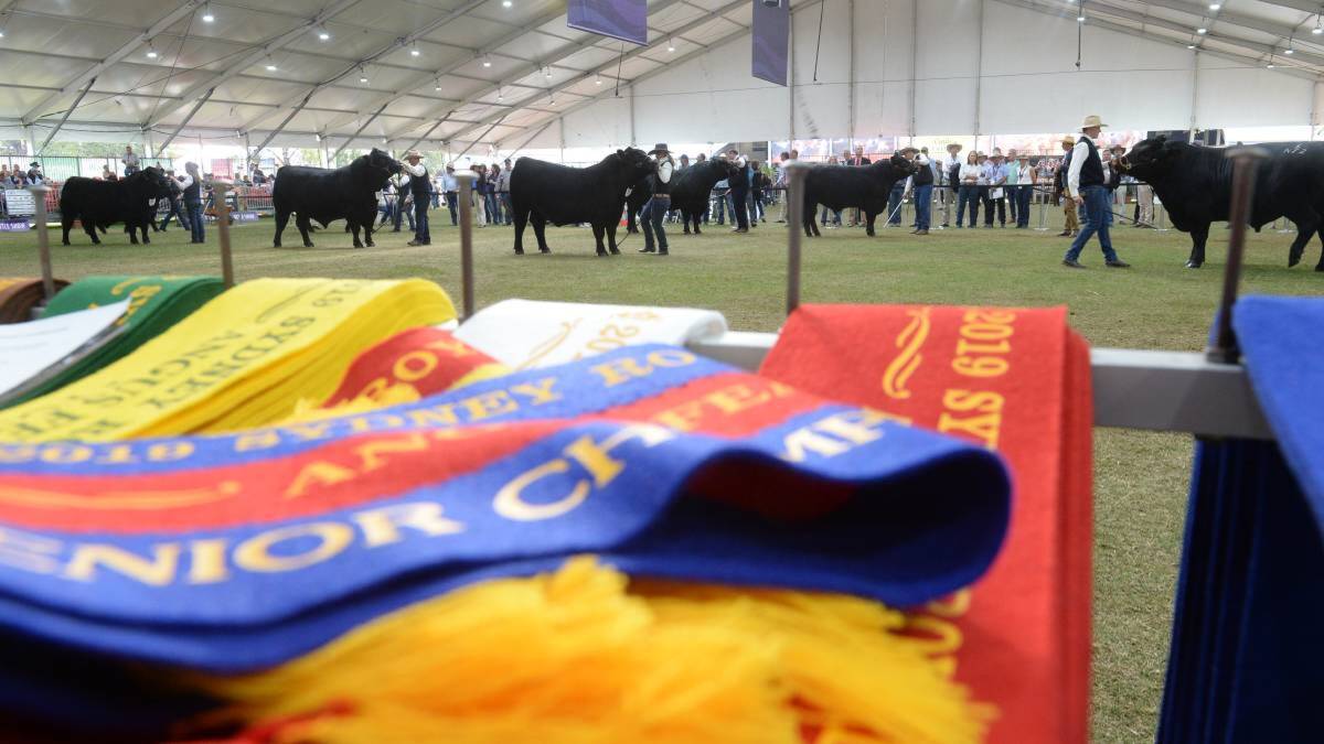 Once a year the Sydney Royal Show bridges a gap between city and country. Photo: File photo