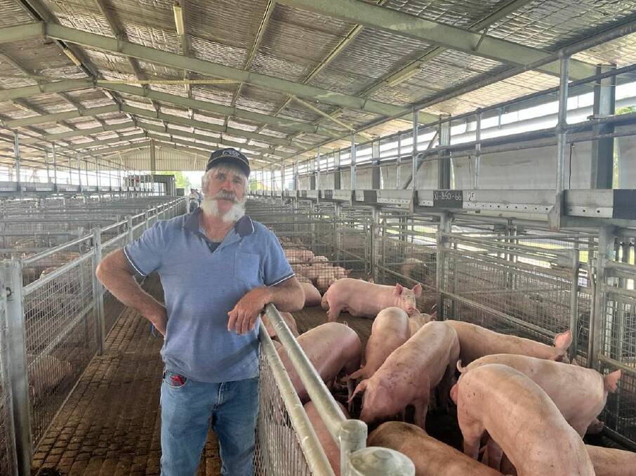 Paul Cameron, Trangie Station, sold 43 pork pigs to a top of $196 a head at Forbes last Friday. Mr Cameron is a regular at the Forbes market selling a load of pigs at the sale every two to four weeks. 
