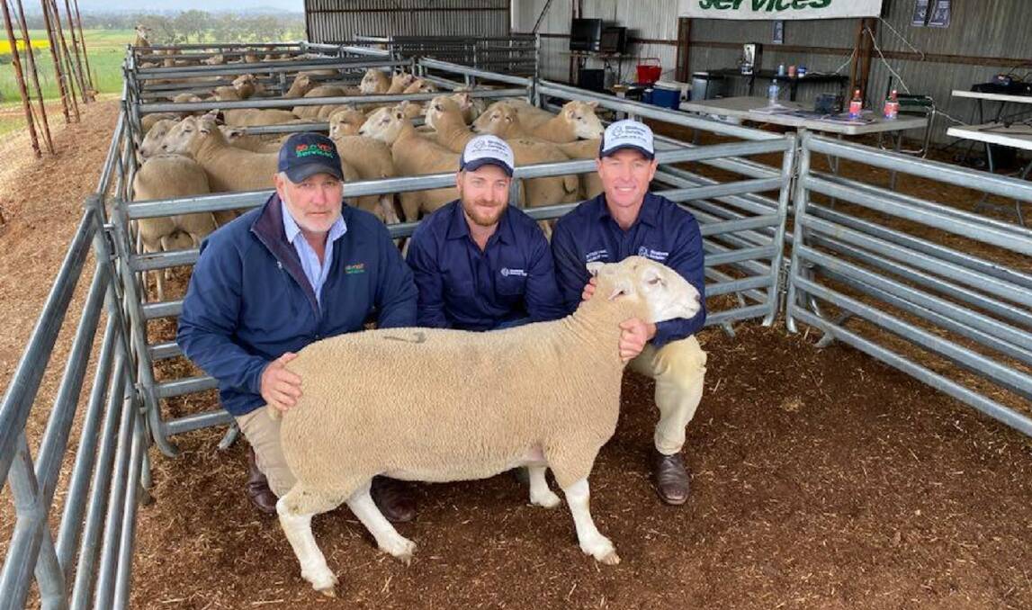 Adrian O'Brien, AGnVET, Henty, with Wayne and Tim Lubke, Strathview Maternal Genetics stud, Henty, and the high-seller Strathview 200024, which sold to John Ellis, Henty, for $4200 last Tuesday. 