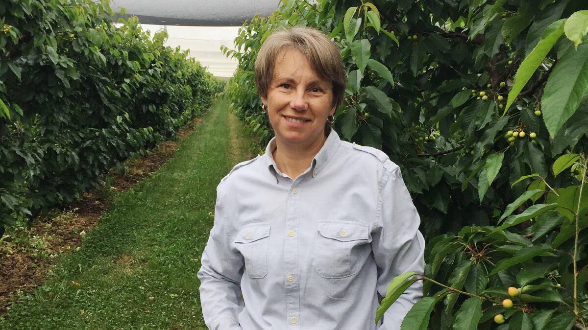 Orchardist Sally Dakis will speak at a virtual information session being held for people involved in primary industries and food production who may be interested in applying to becoming a Churhchill Fellow. Image - Supplied. 