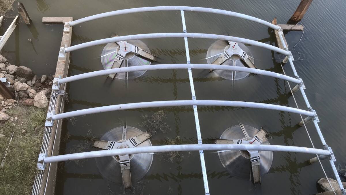 Conical fish screens are well-suited to shallow water applications.