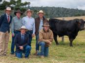 Back: Auctioneer Garth Weatherall, Bartholomew & Co, Peter Grant, The Downfall Limousin, Willsons Downfall, NSW, Brad Frohloff, BJF Limousin, Yarraman, and Mick O'Sullivan, OSullivans Limousin, Lower Mount Walker. Front: Auctioneer Midge Thomson, Aussie Land & Livestock, and David Silcock, Storm King Limousins, Mutdapilly. Pictured with top price bull OSullivans Radium. Pictures: Brandon Long