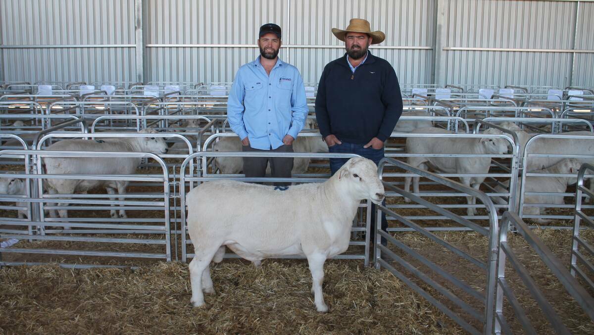 Gamadale stud co-principal Ben Rowney, Lascelles, and Dan Lustenberger, Bungarley, Tarcutta, NSW, buyer of the $15,000 top priced ram at Gamadale's annual sale. Picture: Philippe Perez
