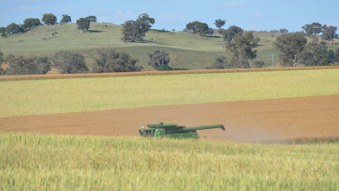 Warakirri Asset Management and Altora Ag are in a tight tussle in the claim to be Australia's biggest grain grower.