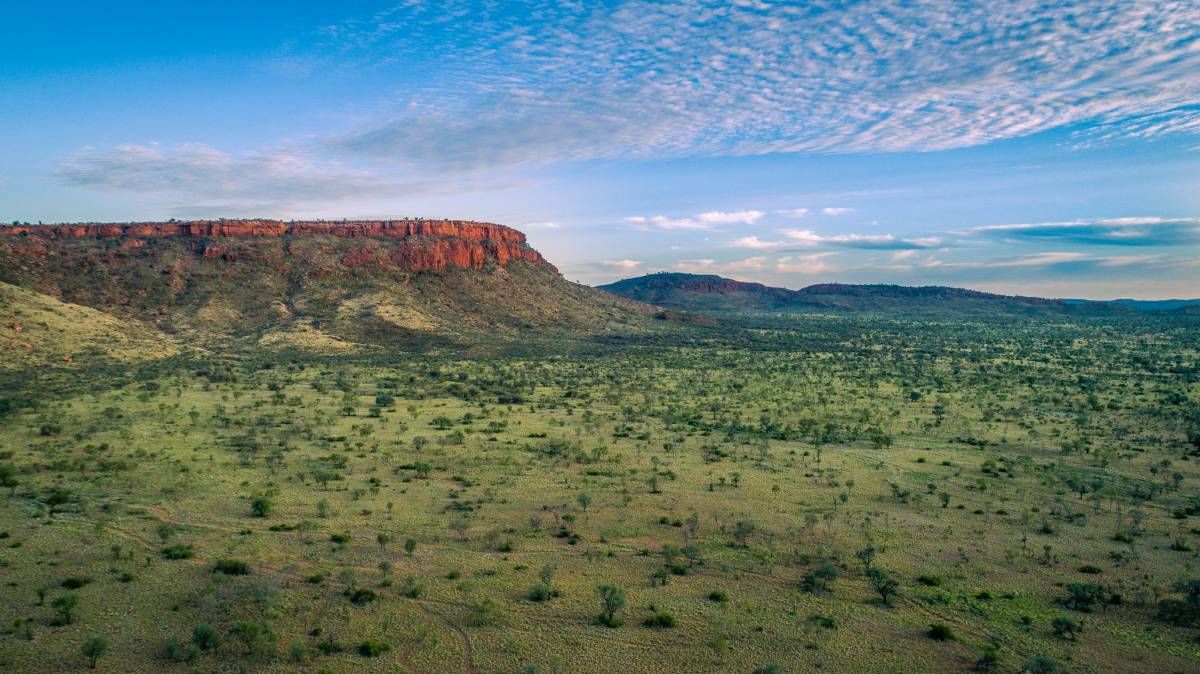 Crown Point Pastoral Company bought the 733,700-hectare Mount Doreen Station, in the Northern Territory, in 2022 for $50 million-$70 million.