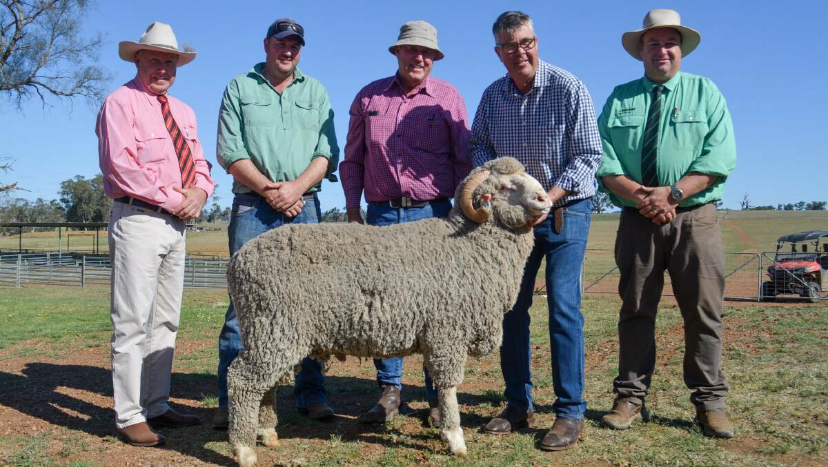 Paul Jameson, Elders, Dubbo, buyers Douglas and Peter Freeth, Collie, Garry Cox, Langdene Merinos, and Brad Wilson, Nutrien, Dubbo, with one of the top-priced horned rams, which sold for $10,000. Picture by Elka Devney.