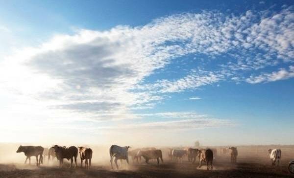 Anna Creek Station, in South Australia, is the nation's biggest farm, at 23,876 square kilometres.