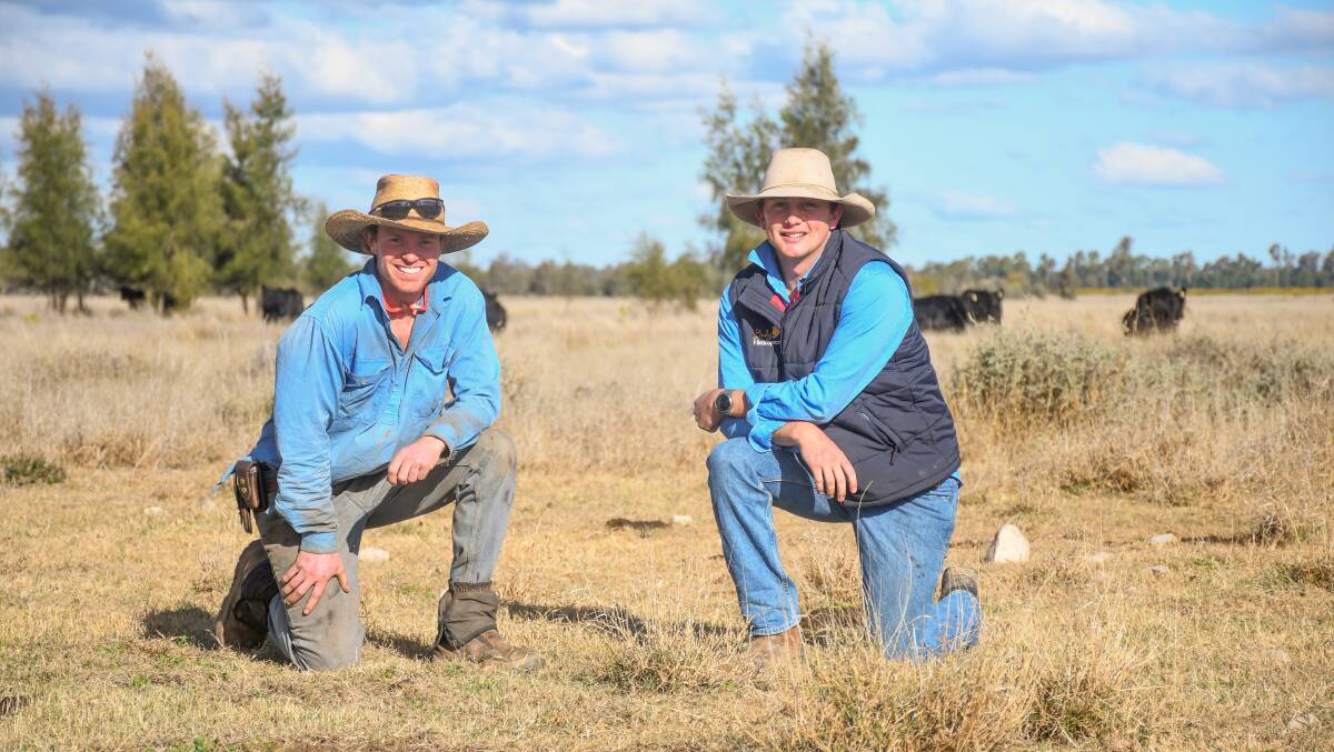 Brothers Tom and James Lahey, Wyaga, have seen a varied season across the Goondiwindi region. Picture: Clare Adcock