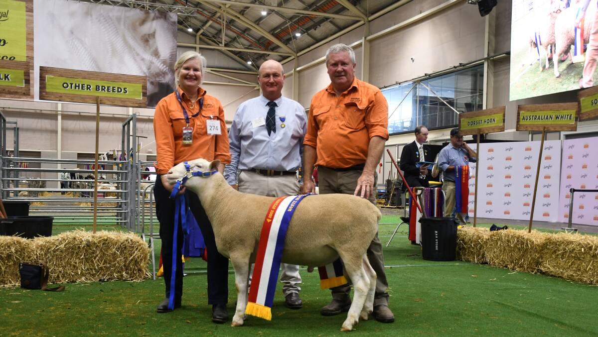 The grand champion Kinellar ram with stud principals Victoria Patterson and Brett Douglas, presented by judge Michael Wall. Pictures by Clare Adcock