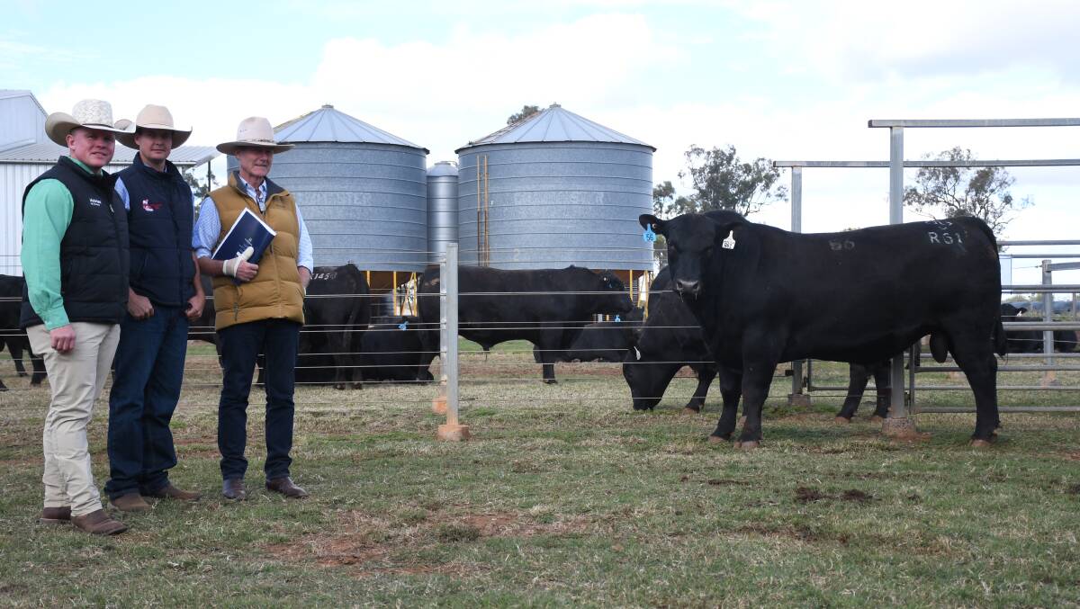 Agents Colby Ede, Nutrien, and Brad Passfield, Hourn and Bishop, with Jim Litchfield and top priced bull, Hazeldean R61. Picture: Clare Adcock