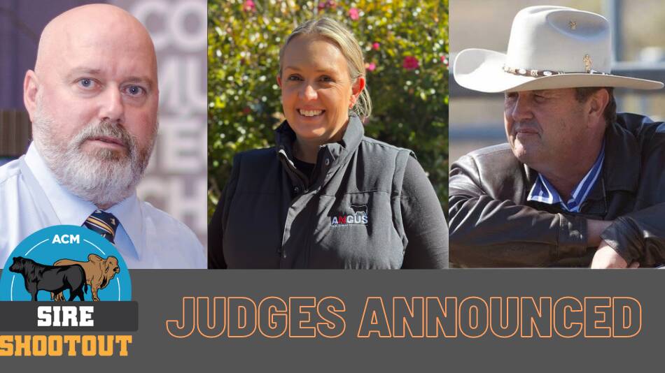 Esteemed judging panel revealed for 2023 Sire Shootout