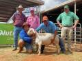 The overall top price ram was a White Dorper offered by Wayne and Karen Dingle of Smit Dorpers and Boondara White Dorpers, which sold for $6600 to the Jukes family of Morven. Photo: Supplied