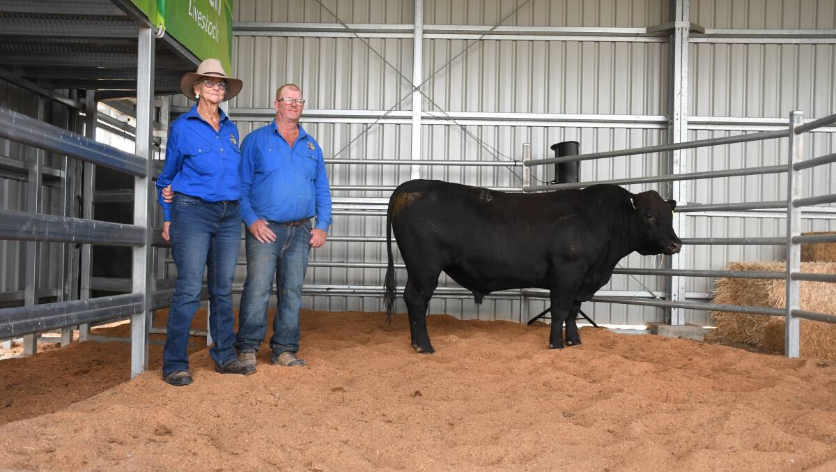 Stud principals Margaret and Troy Whip with the top-priced Wallangra Scotty. Picture: Clare Adcock