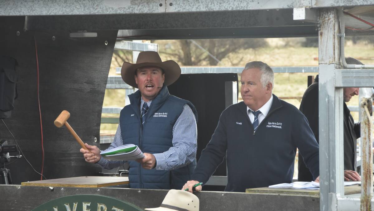 Auctioneer Shad Bailey call's bids from across the sale pen with Craig Thomas.