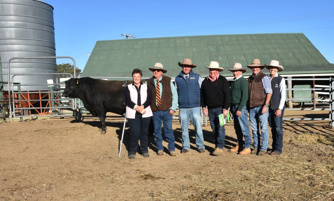 The $50,000 sale topper with Sally and Greg Chappel, Dulverton, Shad Bailey, Colin Say and Co, Glen Innes, Angus Laurie, Elders and James, Ted and Alison Laurie, Knowla Livestock, Gloucester.