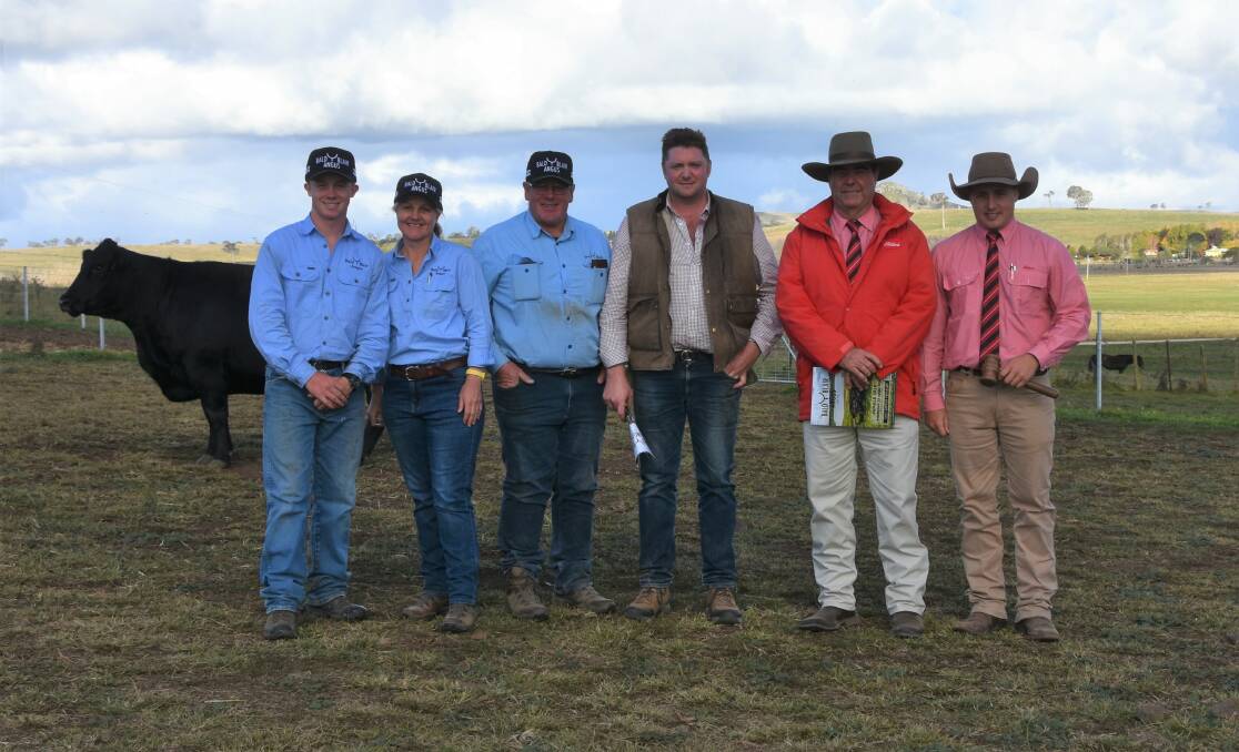 Abbott, Kirsty and Sam White of Bald Blair Angus with top priced buyer Chris Burton, Jingellic alongside Brian Kennedy and Lincoln Mckinlay, Elders.