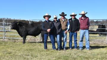 Sara Park stud principal Herb Duddy, Glen Innes, with buyers of one of the two equal top-priced bulls Jane and Cameron Lee, Roma, Qld, Nutiren's Brad Newsome, and auctioneer Robbie Bloch, C.L Squires and Co, Inverell. 