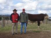 Auctioner Lincoln Mckinlay with Tummel Herefords Chris Lisle