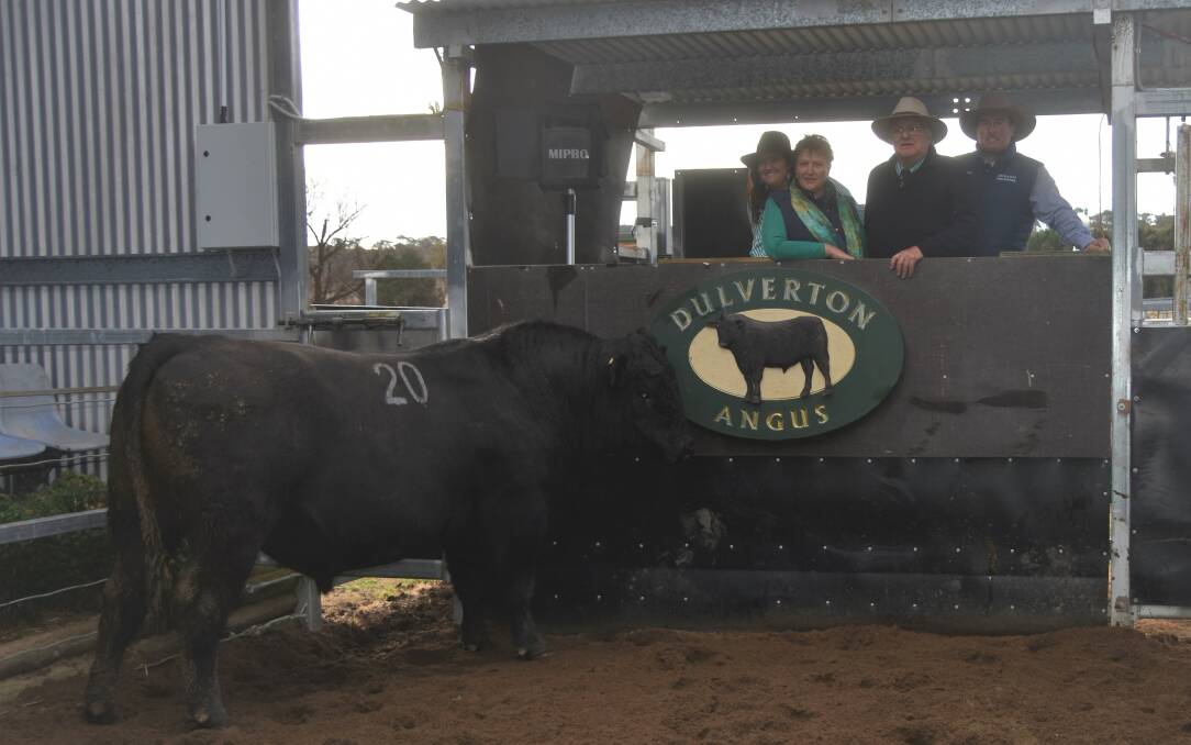 The Chappell family of Dulverton Angus ,Glen Innes with Auctioneer Shad Bailey, Colin Say & Co, Glen Innes 