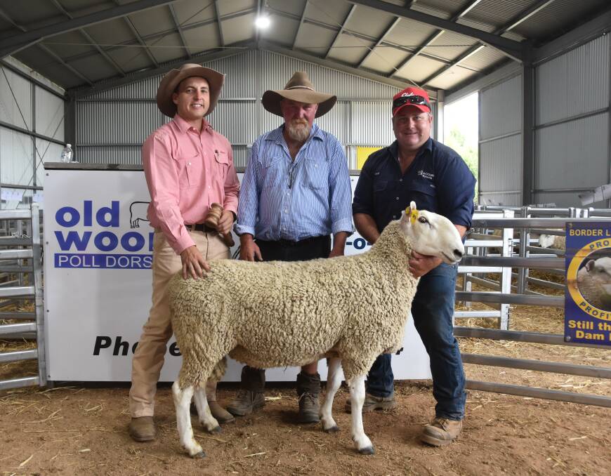 Lincoln McKinlay, Elders, alongside Tony McCrae, Guyra, and Sam Lisle, Old Woombi, with the top-priced Border Leicester ram selling for $3200.