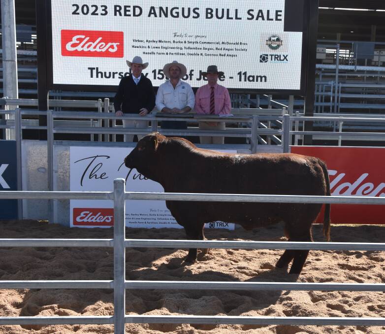 Paul Dooley, Auctionner with David Croker, Yallambee and Brian Kennedy, Elders with the equal top priced bull Yallambee Rolly S76 selling for $24,000.