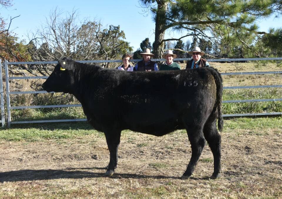 PTIC Angus heifer Dulverton Dell S135 sold for $16,000 to Knowla Livestock, Moppy via Gloucester, and MLA managing director Jason Strong, the procedings of which were donated to the Angus Youth Australia Foundation.