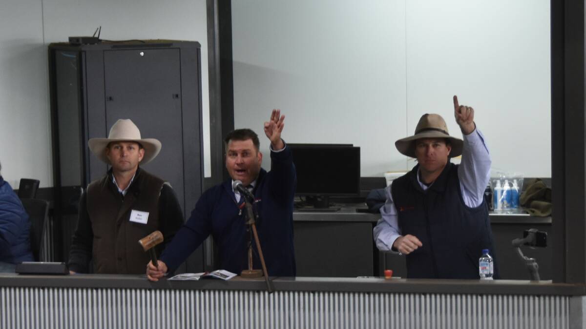 Auctioneer Luke Scicluna taking bids from accross the room