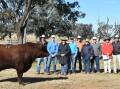 Top priced bull NAGOL PARK PB RUM R121 with the Evans family from Nagol Park, Top buyers Jeff and Annette Rose, Cushnie, Brian Kennedy, Elders Studstock and Auctioneer Paul Dooley