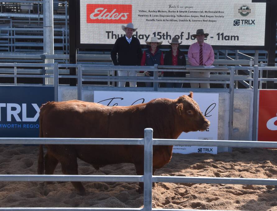 Paul Dooley, Auctioneer with Nicole Skipper and Hannah Powe, Goondoola alongside Brian Kennedy with the equal top priced bull Goondoola Sweepstakes S26 for $24,000.