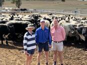 Wendy and Alec James, with their agent Ronnie Dix, Elders, Lucindale, SA with steers sold to JAD Speckle Parks, Yeoval, as weaners. 