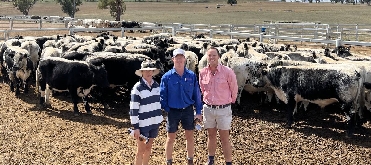 Wendy and Alec James, with their agent Ronnie Dix, Elders, Lucindale, SA with steers sold to JAD Speckle Parks, Yeoval, as weaners. 