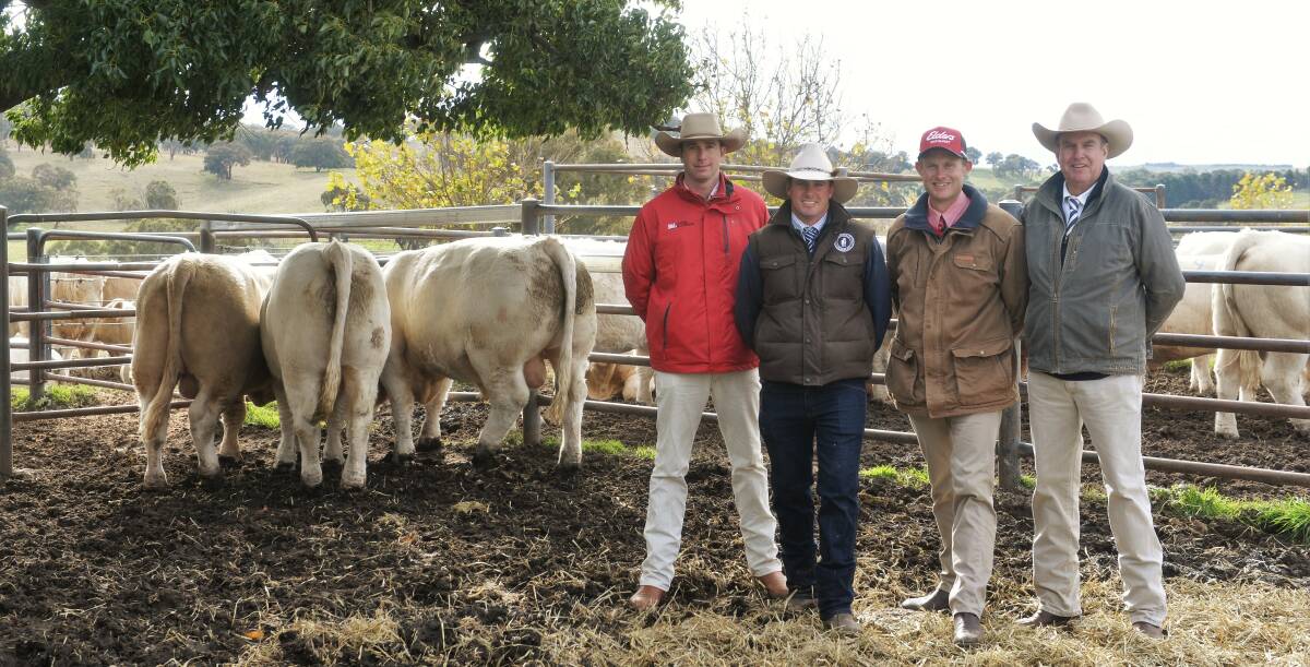 Todd Clements, Bowyer and Livermore, Bathurst, James Milner, Rosedale Charolais, Blayney, Andrew Bickford, Elders Bathust, and Paul Dooley, Tamworth, with Rosedale Rafael, Rosedale Rapaki, and Rosedale Raumati. 