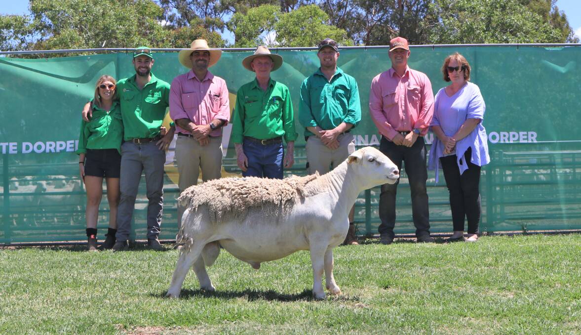 Annalara's Isabel Torres and Jack Cresswell, Martin Simmons, Elders Dubbo, Steve Cresswell, purchaser Will Colless, Condobolin, and Ben Marlin, Elders Dubbo equal top-priced ram AWD 210301 Silence. Pictures by Kate Loudon