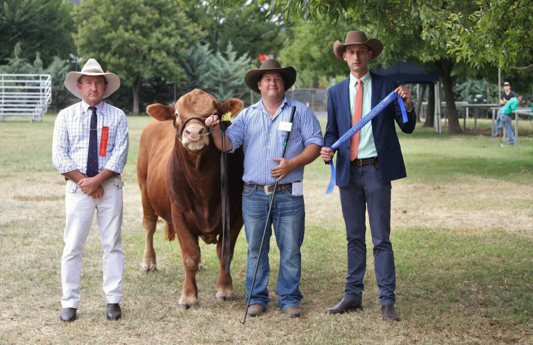 Jackpot champion bull Summit Patriot R53, led by Summit Livestock Principal Hayden Green, Uranquinty, with Canberra committee member Stuart Glover (left) and judge Sam Hunter, AgStock, Yass.
Photo: Kate Loudon